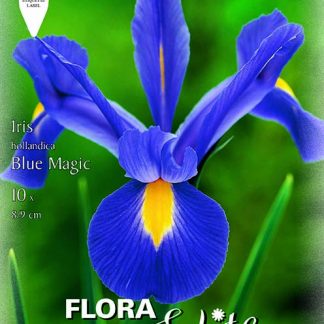 Ίριδα Blue magic
