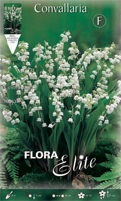 Μιγκέ Convallaria