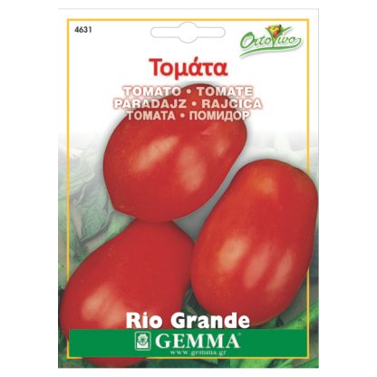 Τομάτα καθιστή · Determinate tomato