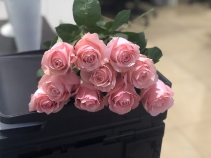 Τριαντάφυλλα Casual
