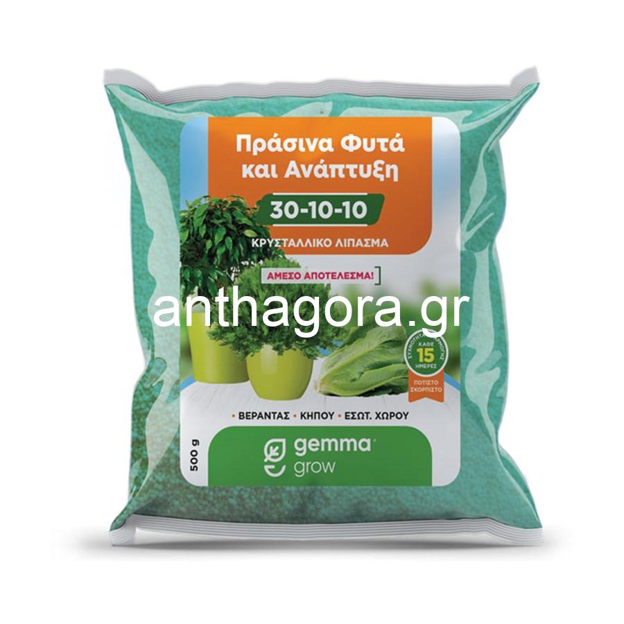 Κρυσταλλικό λίπασμα για Πράσινα Φυτά και Ανάπτυξη 30-10-10